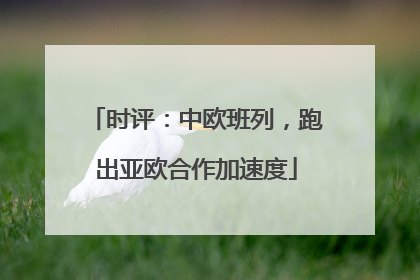 时评：中欧班列，跑出亚欧合作加速度