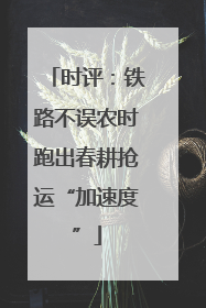 时评：铁路不误农时跑出春耕抢运“加速度”