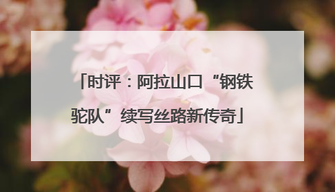 时评：阿拉山口“钢铁驼队”续写丝路新传奇