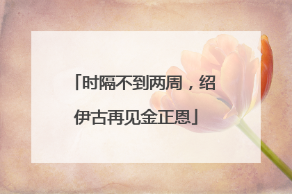 时隔不到两周，绍伊古再见金正恩