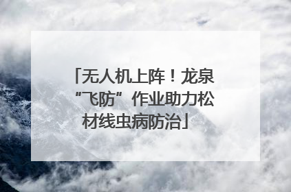 无人机上阵！龙泉“飞防”作业助力松材线虫病防治