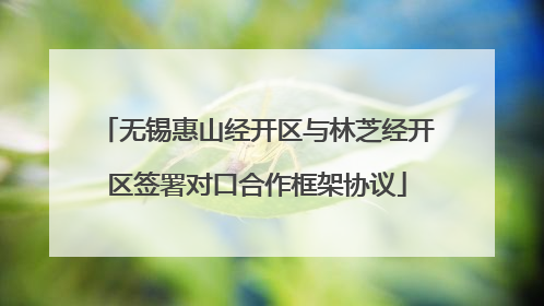 无锡惠山经开区与林芝经开区签署对口合作框架协议