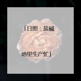 日照：盐碱地里生产忙