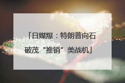 日媒爆：特朗普向石破茂“推销”美战机