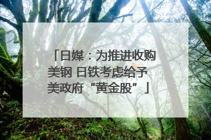日媒：为推进收购美钢 日铁考虑给予美政府“黄金股”