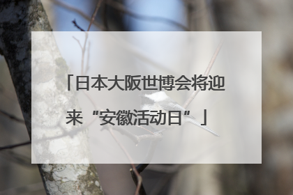 日本大阪世博会将迎来“安徽活动日”