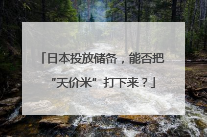 日本投放储备，能否把“天价米”打下来？
