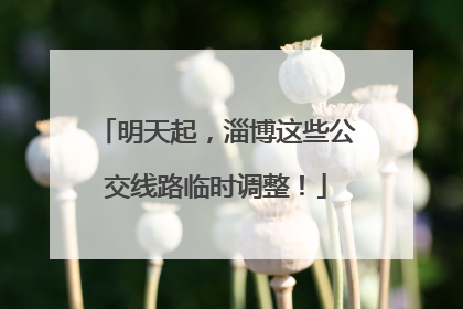 明天起，淄博这些公交线路临时调整！