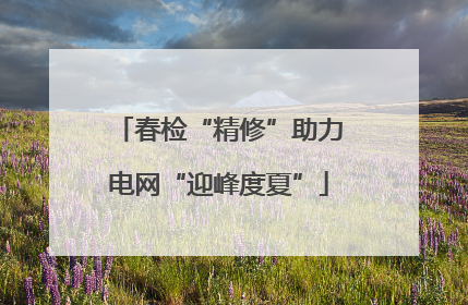 春检“精修”助力电网“迎峰度夏”