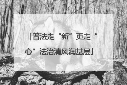 普法走“新”更走“心”法治清风润基层