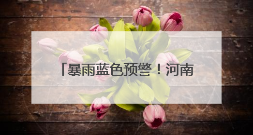 暴雨蓝色预警！河南这些高速临时管制