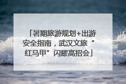 暑期旅游规划+出游安全指南，武汉文旅“红马甲”闪耀高招会