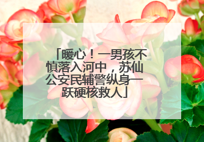 暖心！一男孩不慎落入河中，苏仙公安民辅警纵身一跃硬核救人