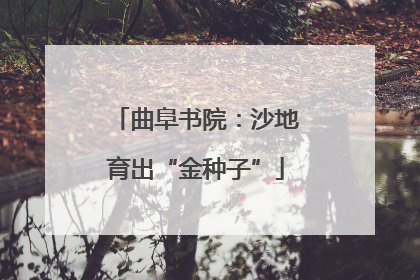 曲阜书院：沙地育出“金种子”