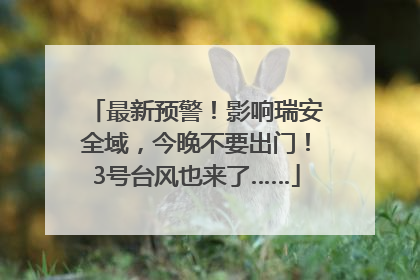 最新预警！影响瑞安全域，今晚不要出门！3号台风也来了……