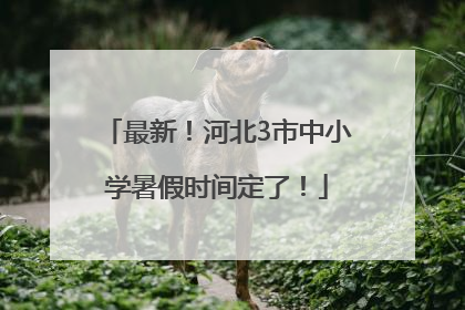 最新！河北3市中小学暑假时间定了！