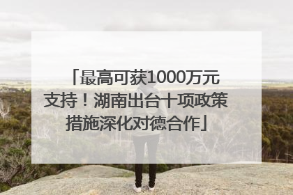 最高可获1000万元支持！湖南出台十项政策措施深化对德合作