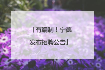 有编制！宁德发布招聘公告
