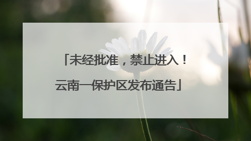 未经批准，禁止进入！云南一保护区发布通告