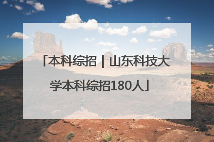 本科综招｜山东科技大学本科综招180人