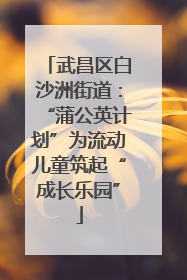武昌区白沙洲街道：“蒲公英计划”为流动儿童筑起“成长乐园”
