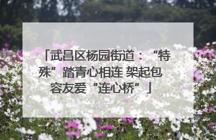 武昌区杨园街道：“特殊”踏青心相连 架起包容友爱“连心桥”