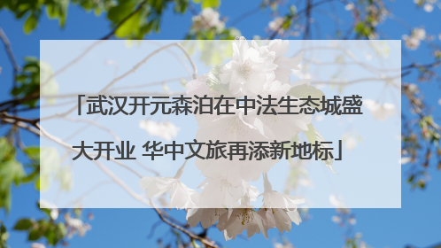 武汉开元森泊在中法生态城盛大开业 华中文旅再添新地标
