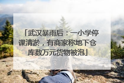 武汉暴雨后：一小学停课清淤，有商家称地下仓库数万元货物被泡