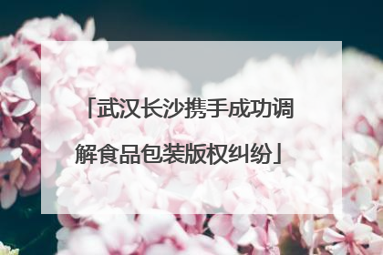 武汉长沙携手成功调解食品包装版权纠纷