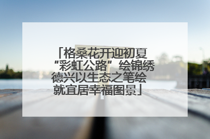 格桑花开迎初夏 “彩虹公路”绘锦绣 德兴以生态之笔绘就宜居幸福图景