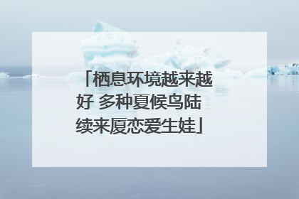 栖息环境越来越好 多种夏候鸟陆续来厦恋爱生娃