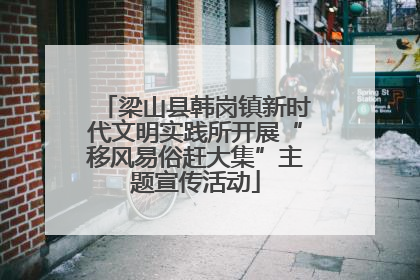 梁山县韩岗镇新时代文明实践所开展“移风易俗赶大集”主题宣传活动