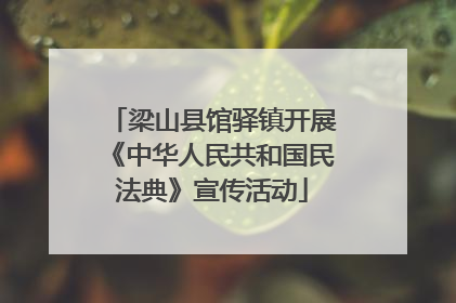梁山县馆驿镇开展《中华人民共和国民法典》宣传活动