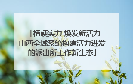 植硬实力 焕发新活力 山西全域系统构建活力迸发的派出所工作新生态