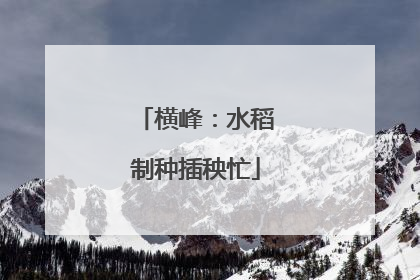 横峰：水稻制种插秧忙