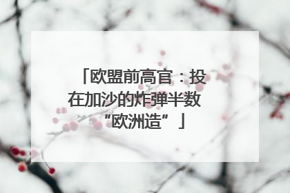 欧盟前高官：投在加沙的炸弹半数“欧洲造”