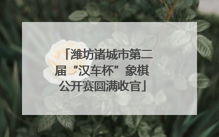 潍坊诸城市第二届“汉车杯”象棋公开赛圆满收官