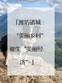 潍坊诸城：“美丽乡村”催生“美丽经济”