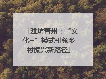 潍坊青州：“文化+”模式引领乡村振兴新路径