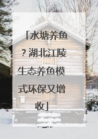 水塘养鱼？湖北江陵生态养鱼模式环保又增收