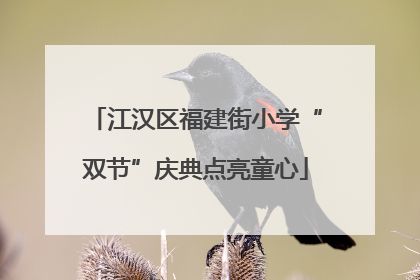 江汉区福建街小学“双节”庆典点亮童心