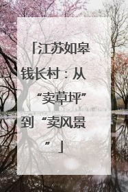 江苏如皋钱长村：从“卖草坪”到“卖风景”