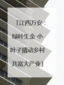 江西万安：绿叶生金 小叶子撬动乡村共富大产业