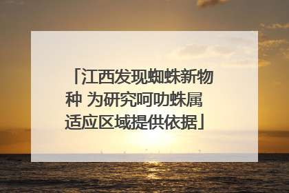 江西发现蜘蛛新物种 为研究呵叻蛛属适应区域提供依据