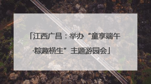 江西广昌：举办“童享端午·粽趣横生”主题游园会
