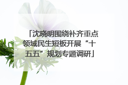 沈晓明围绕补齐重点领域民生短板开展“十五五”规划专题调研