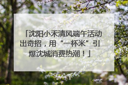 沈阳小禾清风端午活动出奇招，用“一杯米”引爆沈城消费热潮！