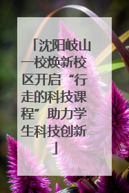 沈阳岐山一校焕新校区开启“行走的科技课程”助力学生科技创新