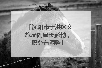 沈阳市于洪区文旅局副局长彭勃，职务有调整