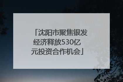 沈阳市聚焦银发经济释放530亿元投资合作机会